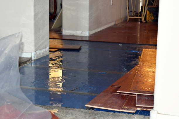 Professional Burst Pipe Cleanup technician working in Clark, PA
